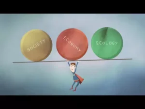 bamboo india 05 Bamboo India