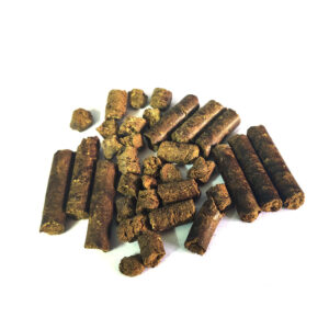 bamboo india 17 Bamboo India