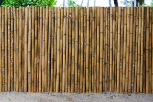 bamboo wall in garden 2 Bamboo India