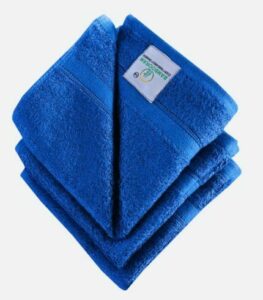 bambooramagro 18 Bamboo India