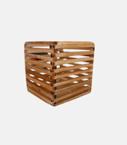 bambooramagro 36 Bamboo India