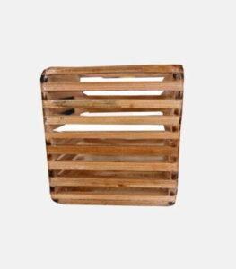 bambooramagro 37 Bamboo India