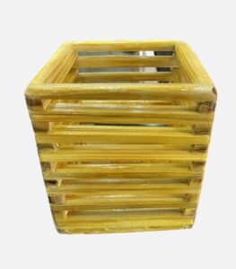 bambooramagro 49 Bamboo India