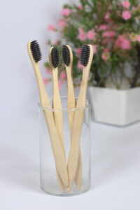 bamboostan03 Bamboo India