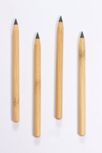 bamboostan04 Bamboo India