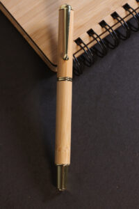 bamboostan08 Bamboo India