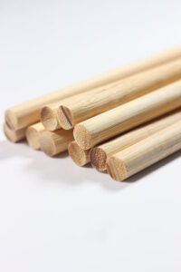 bamboostan12 Bamboo India