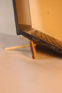 bamboostan15 Bamboo India