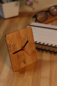 bamboostan20 Bamboo India