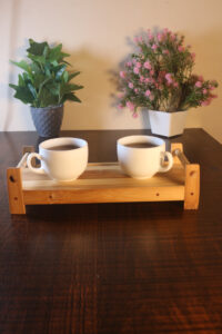 bamboostan21 Bamboo India