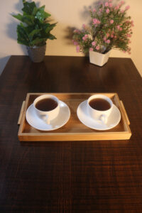 bamboostan23 Bamboo India