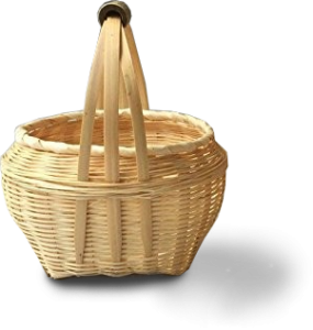 banner img1 Bamboo India