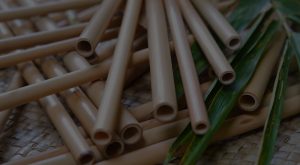 banner2 2 Bamboo India