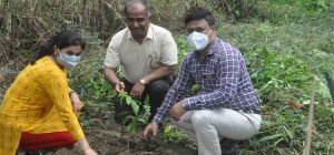 banner37 Bamboo India