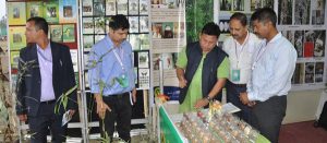 banner41 Bamboo India