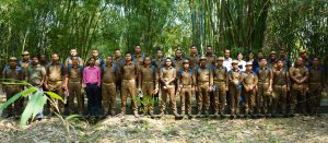 banner56 Bamboo India