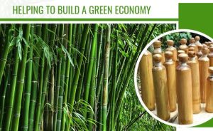 banner english 1 Bamboo India