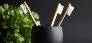 brush banner edited 2 1 Bamboo India