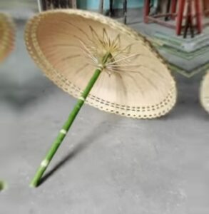 bsi cover 18 Bamboo India