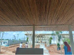 bsi cover 19 Bamboo India