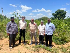 bsi cover 2 Bamboo India