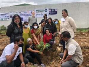 bsi cover 8 Bamboo India