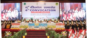 convo001 Bamboo India