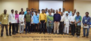 crt 0l 0w 100h 100 2 Bamboo India