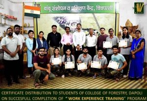 crt 0l 0w 100h 100 Bamboo India