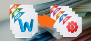 documents Bamboo India