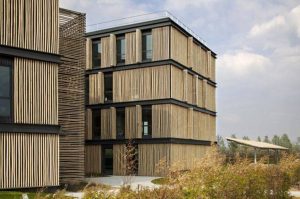 facade 2 Bamboo India