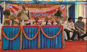 gallery 1273153599 Bamboo India