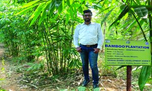 gallery 1668048335 Bamboo India