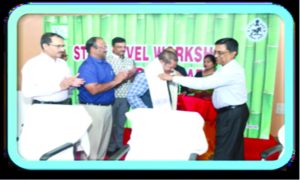 gallery 971625249 Bamboo India