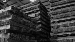 h slide3 Bamboo India