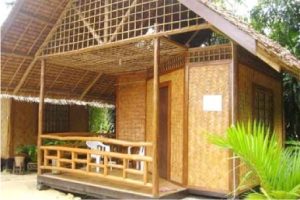 hm img2 Bamboo India