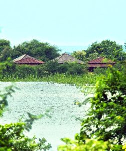 home banner1 Bamboo India