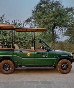 home banner4 Bamboo India