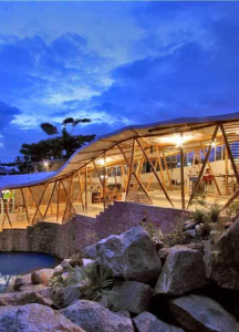 image 10 1 Bamboo India