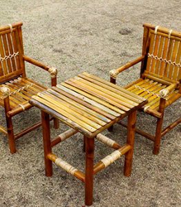 img1 300x343 1 Bamboo India