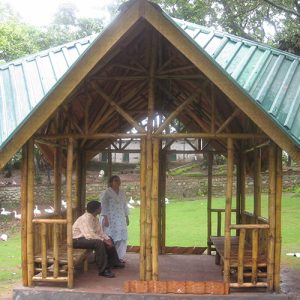 img1 500x500 1 Bamboo India