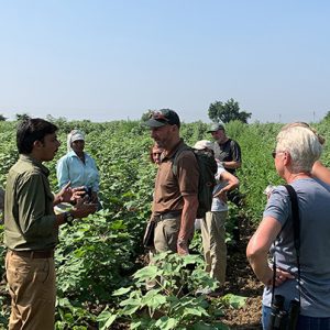 insta img1 Bamboo India