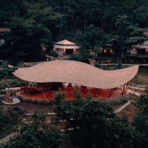 jans bamboo 1 Bamboo India