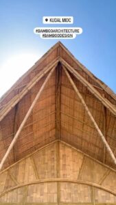 jans bamboo 10 Bamboo India