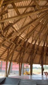 jans bamboo 15 Bamboo India