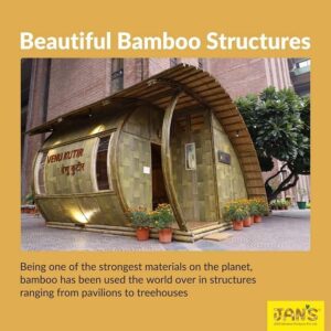 jans bamboo 18 Bamboo India