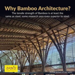 jans bamboo 19 Bamboo India