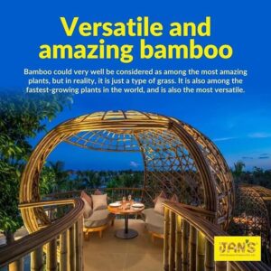 jans bamboo 20 Bamboo India