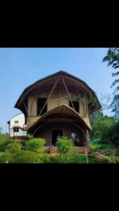 jans bamboo 4 Bamboo India