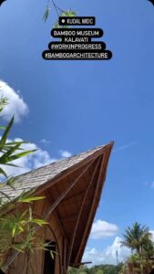 jans bamboo 5 Bamboo India